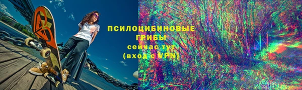 ПСИЛОЦИБИНОВЫЕ ГРИБЫ Бронницы